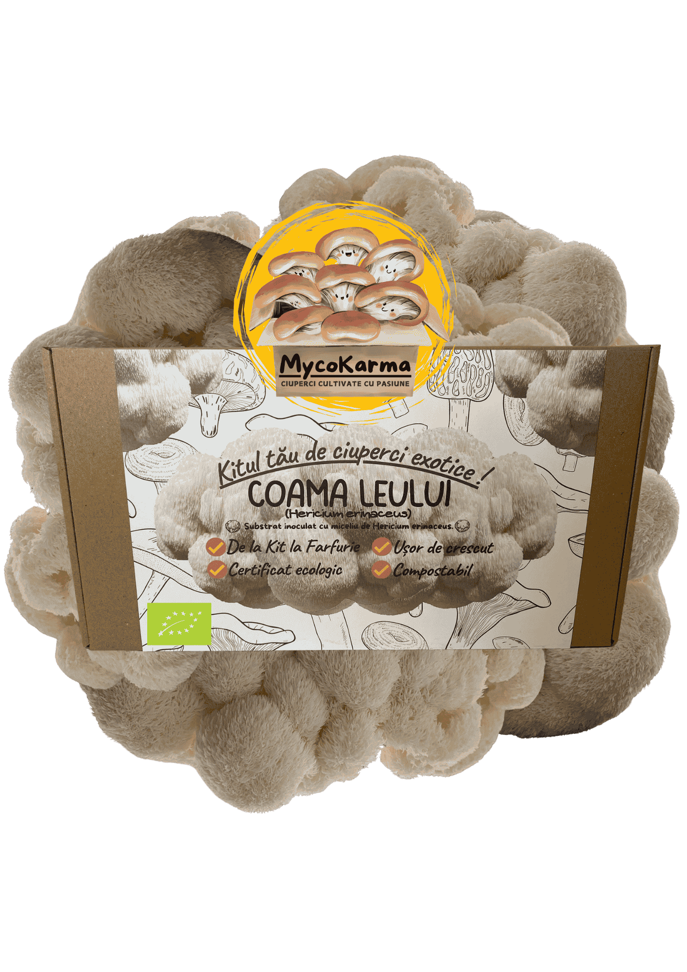 Kit de fructificare Coama leului (Hericium erinaceus), certificat ecologic. RO-ECO-030