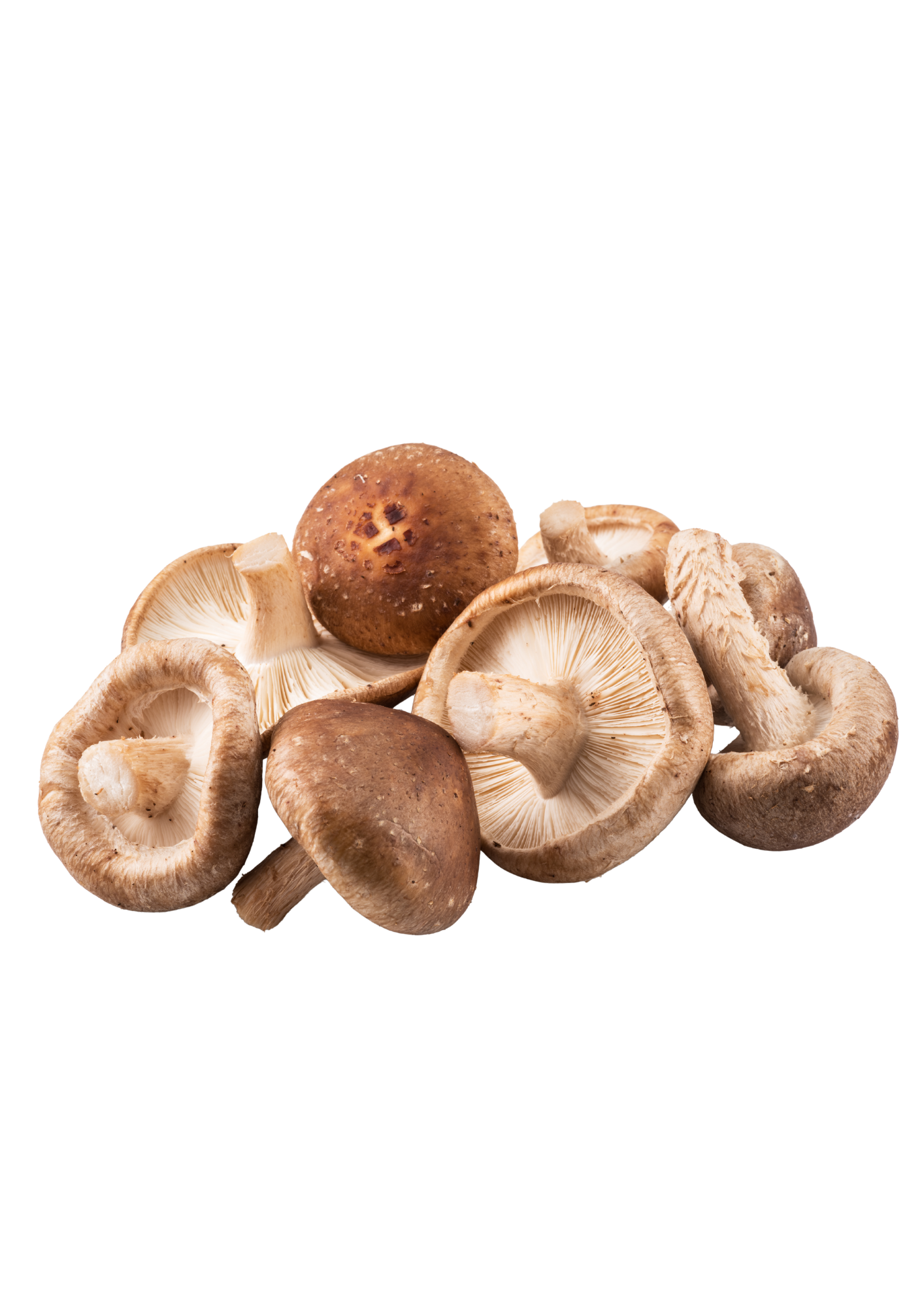 Shiitake proaspăt 1 kg
