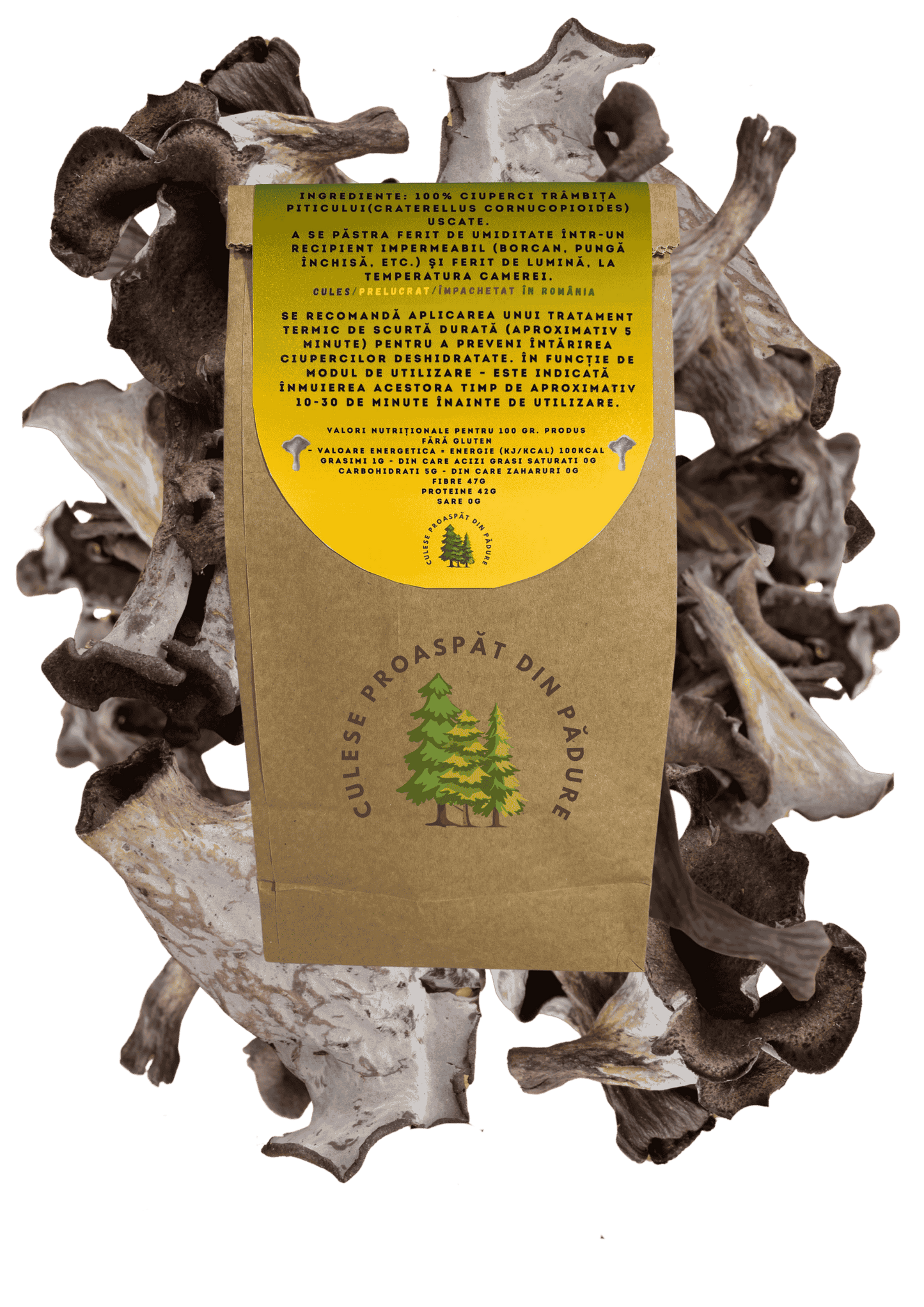 Trâmbița neagră uscat.