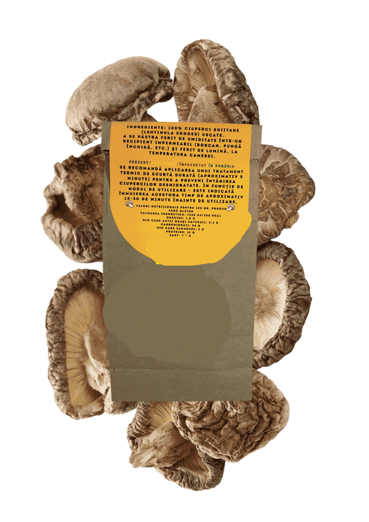 Shiitake dolofane uscate.