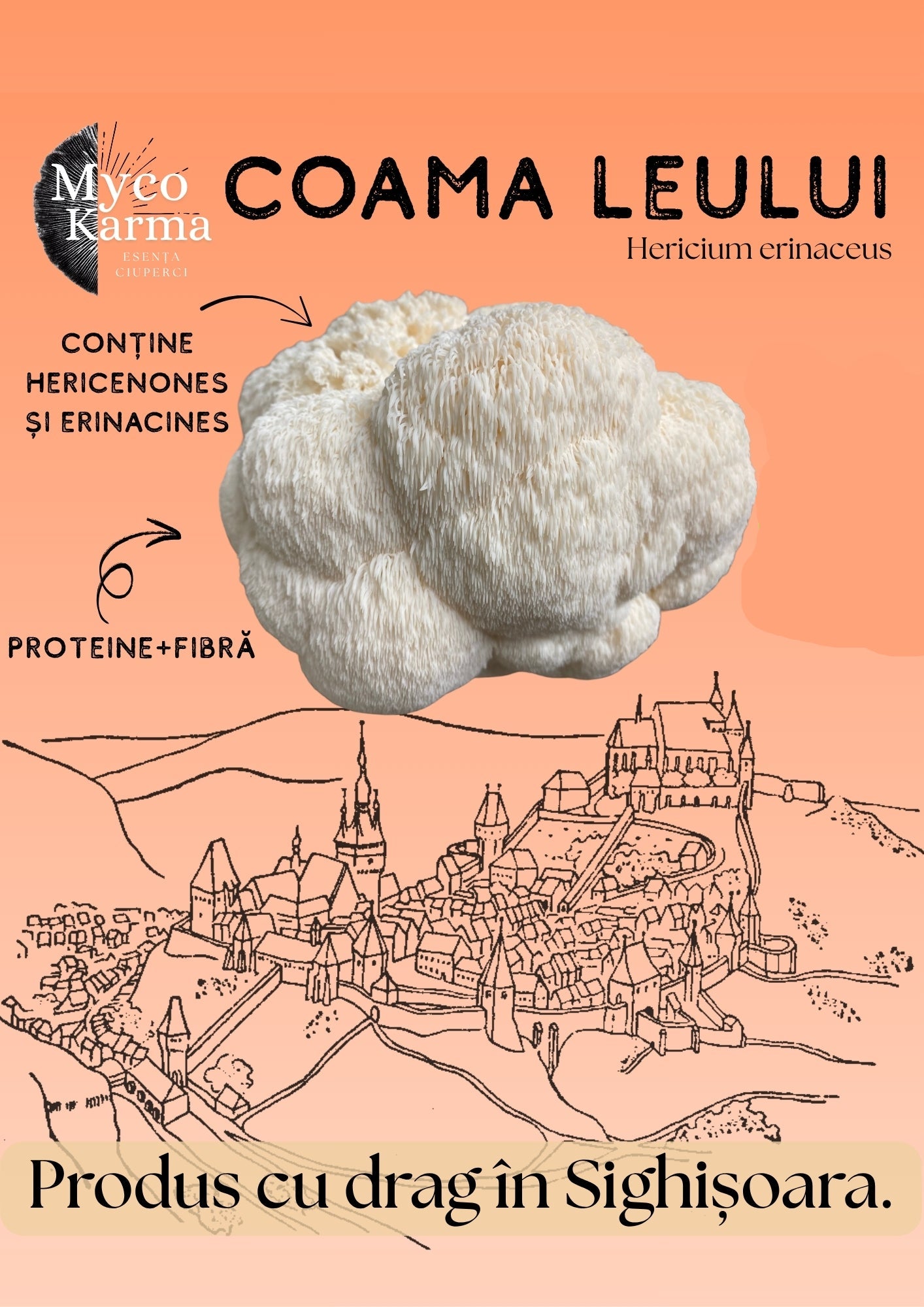 Ciuperci Coama leului proaspăt cules 1 kg
