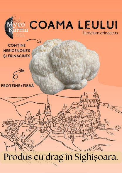 Ciuperci Coama leului proaspăt cules 1 kg