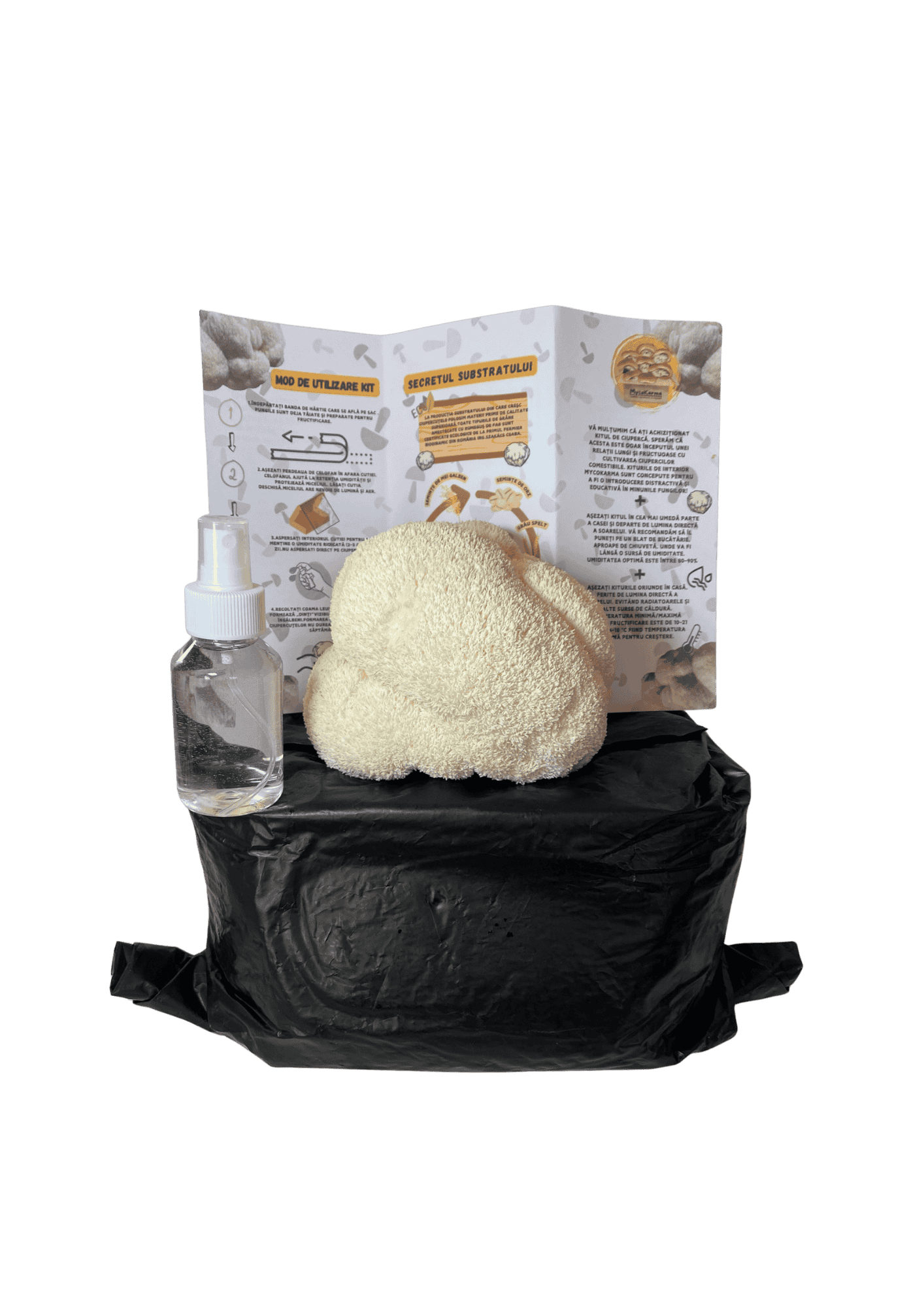 Kit de fructificare Coama leului (Hericium erinaceus), certificat ecologic. RO-ECO-030