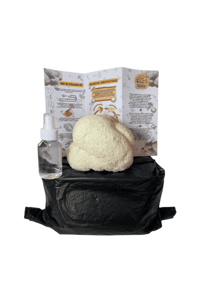 Kit de fructificare Coama leului (Hericium erinaceus), certificat ecologic. RO-ECO-030