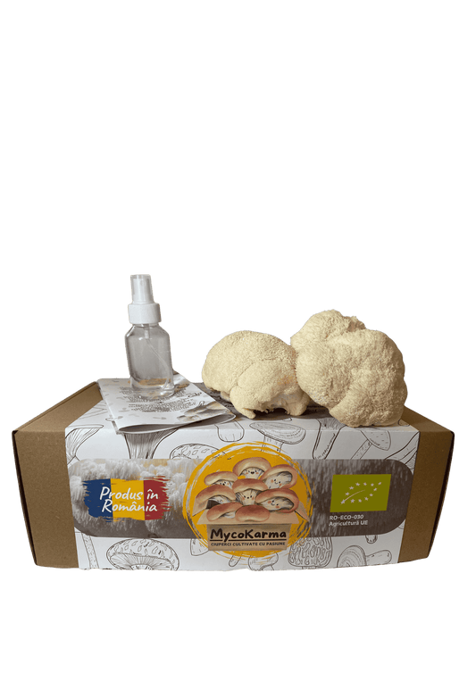 Kit de fructificare Coama leului (Hericium erinaceus), certificat ecologic. RO-ECO-030