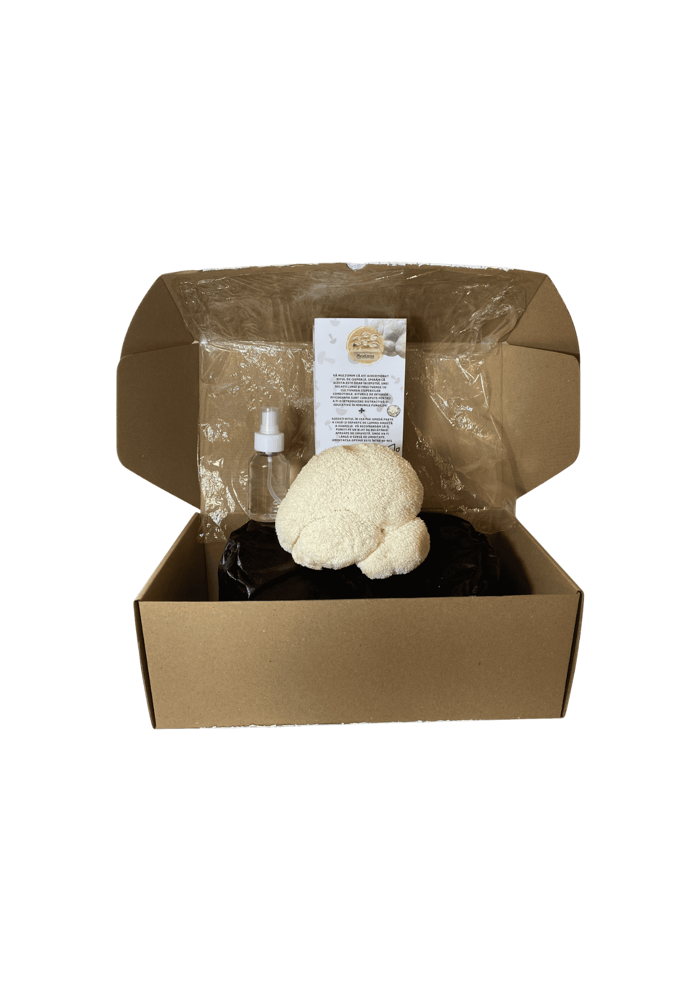 Kit de fructificare Coama leului (Hericium erinaceus), certificat ecologic. RO-ECO-030