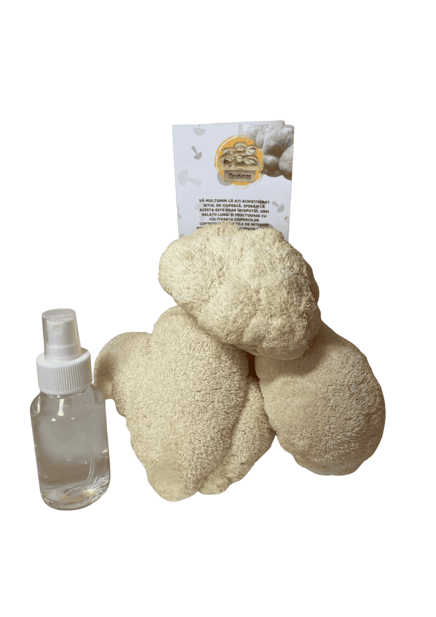 Kit de fructificare Coama leului (Hericium erinaceus), certificat ecologic. RO-ECO-030