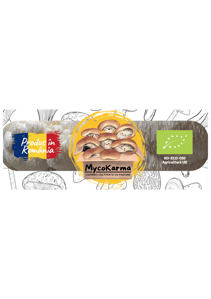 Kit de fructificare Coama leului (Hericium erinaceus), certificat ecologic. RO-ECO-030