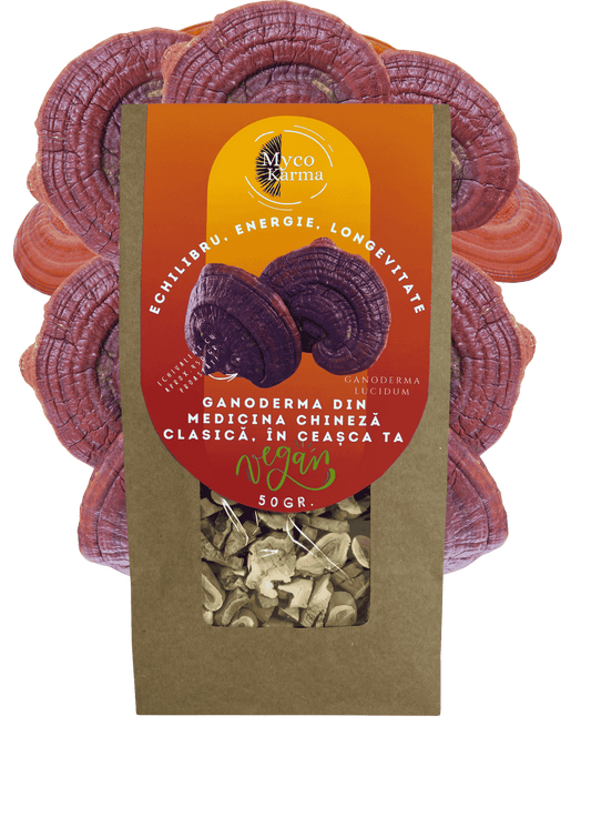 Ganoderma (Reishi) uscat.