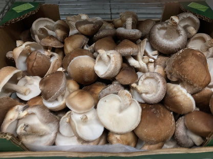 Shiitake proaspăt 1 kg