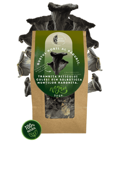 Trâmbița neagră uscat.