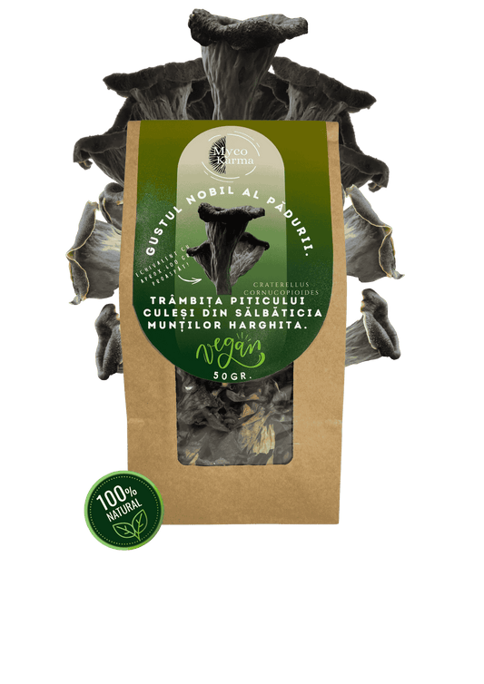Trâmbița neagră uscat.