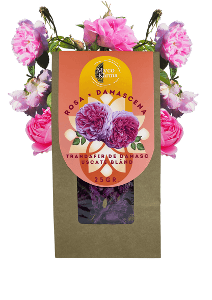 Flori de Damascus uscat.