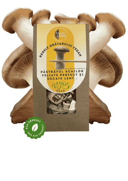 Ciuperca regală feliat, uscat.