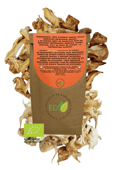 Coama leului eco uscat.