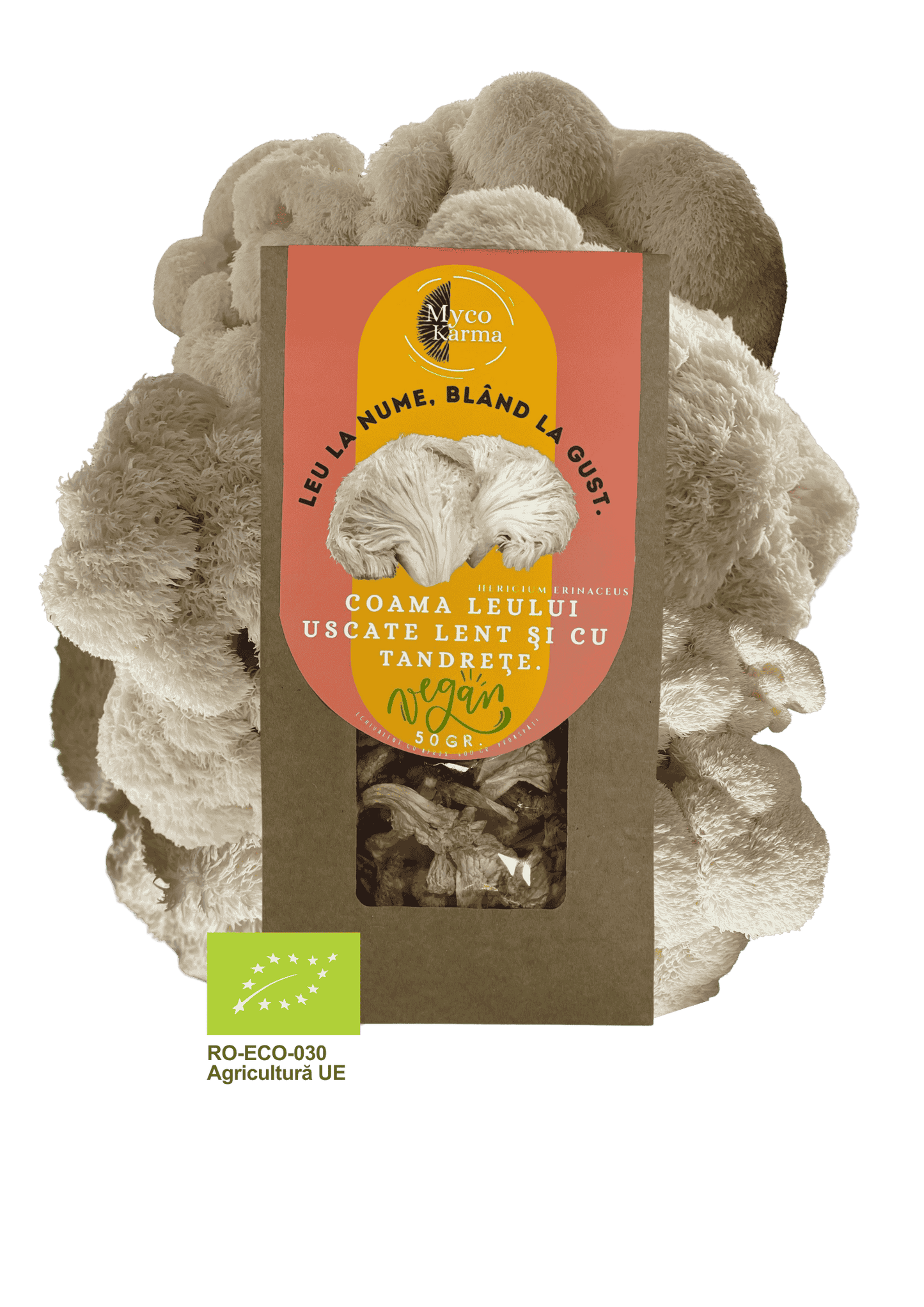 Coama leului eco uscat.