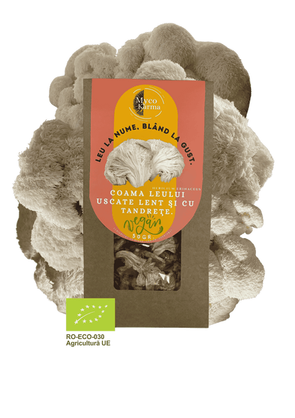 Coama leului eco uscat.