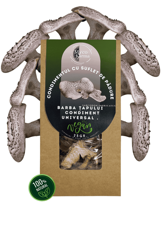 Ciuperca barba țapului uscat.