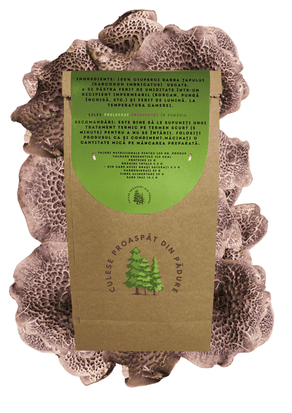 Ciuperca barba țapului uscat.