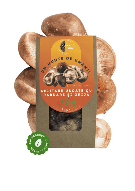 Shiitake dolofane uscate.