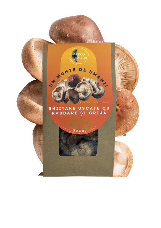 Shiitake dolofane uscate.